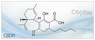 CBDA Cannabidiolic acid Info